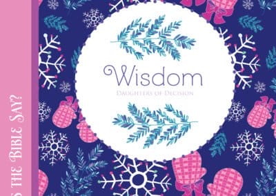Happy Snowflakes Wisdom Bible Study