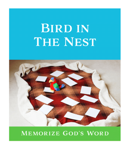 Bird in the Nest