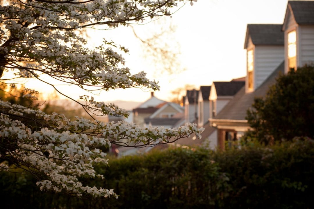 lightstock_98868_small_user_43213706