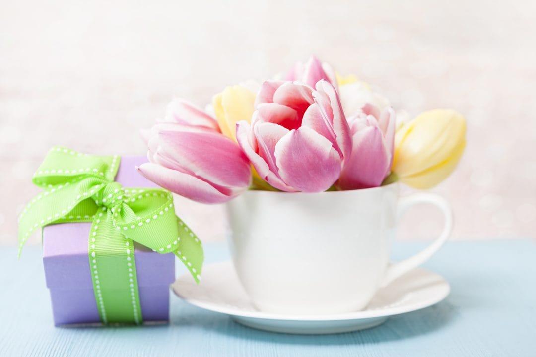 lightstock_515258_small_user_43213706